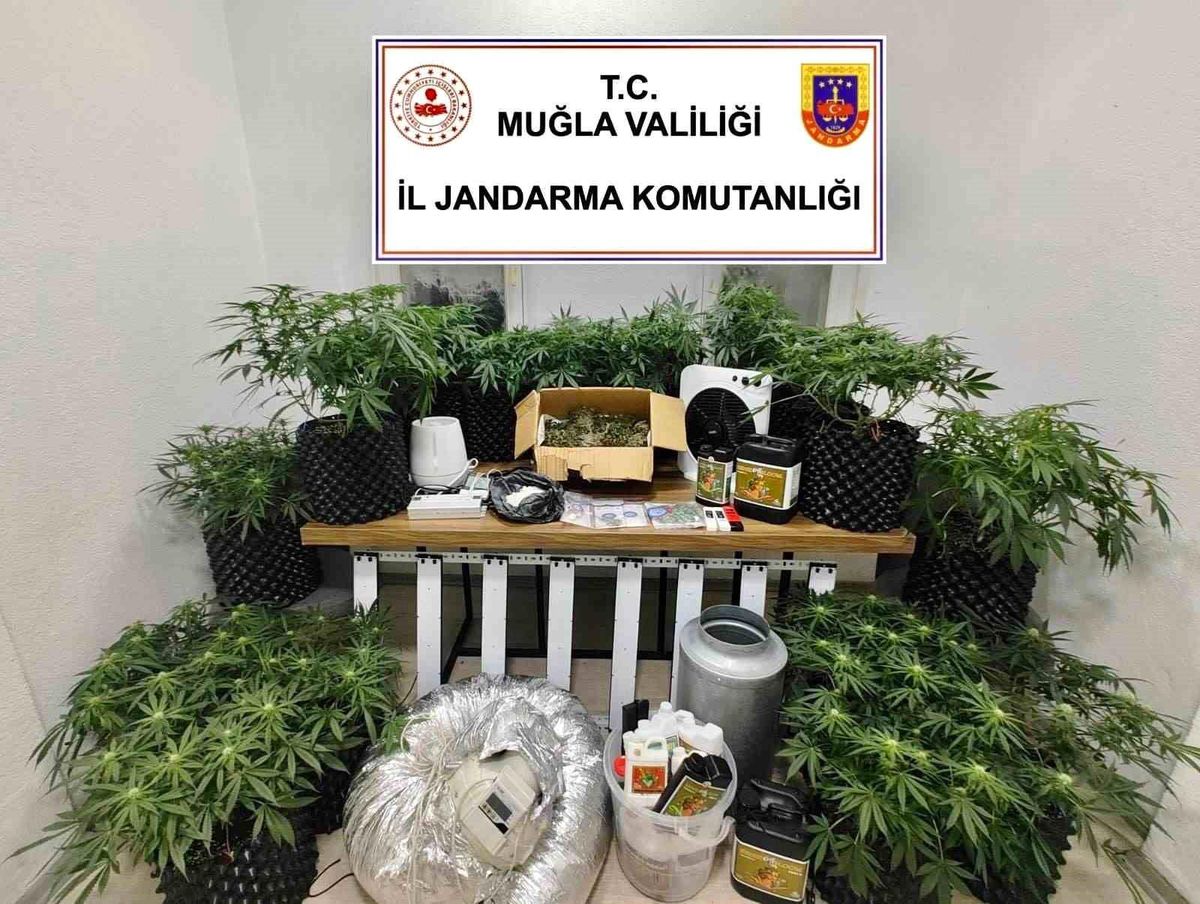 Bodrum'da Uyuşturucu Operasyonu: 2 Gözaltı, Çok Miktarda Madde Ele Geçirildi
