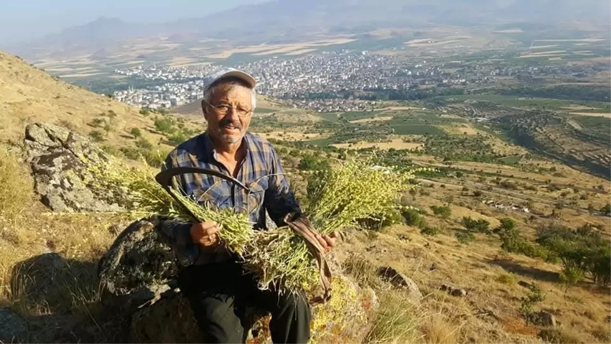 Erciyes Dağı'nda Kaliteli Bal Üretimi İçin Arıcılar Bir Araya Geliyor