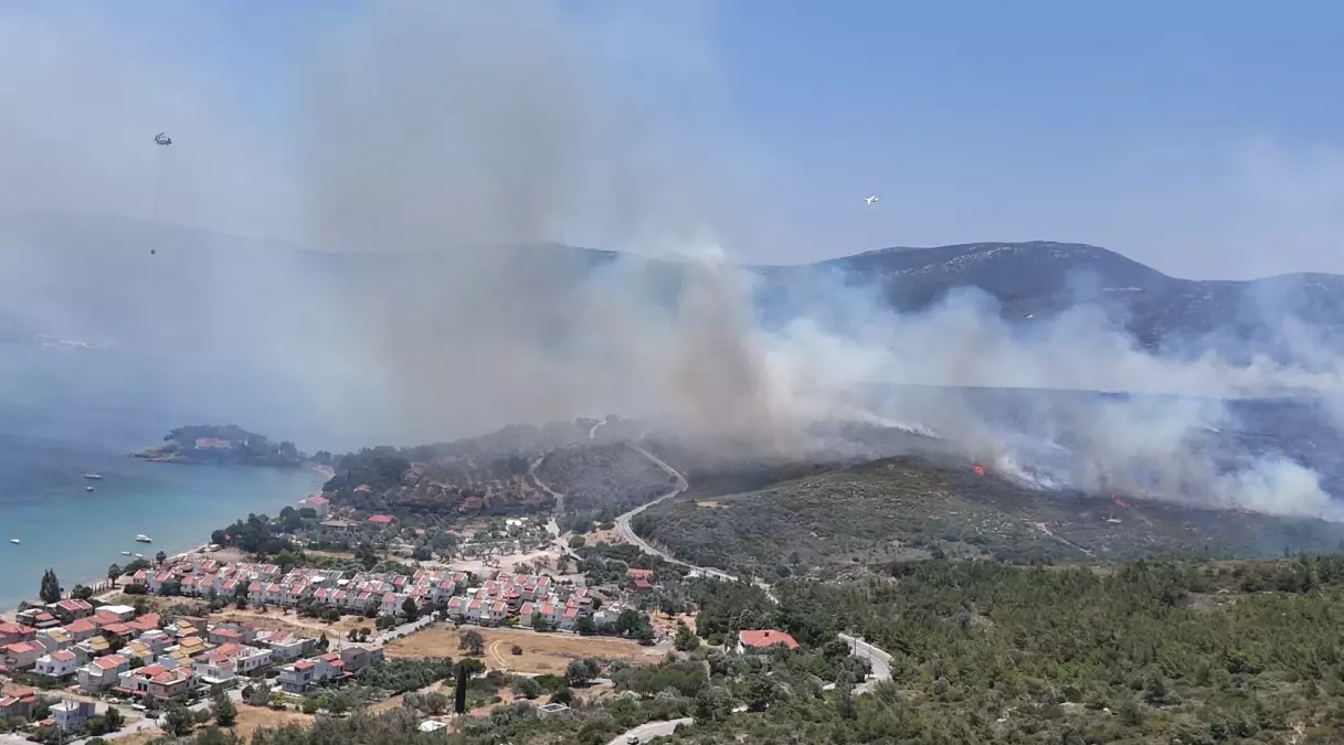 İzmir'deki Orman Yangınında İki Metruk Ev Zarar Gördü