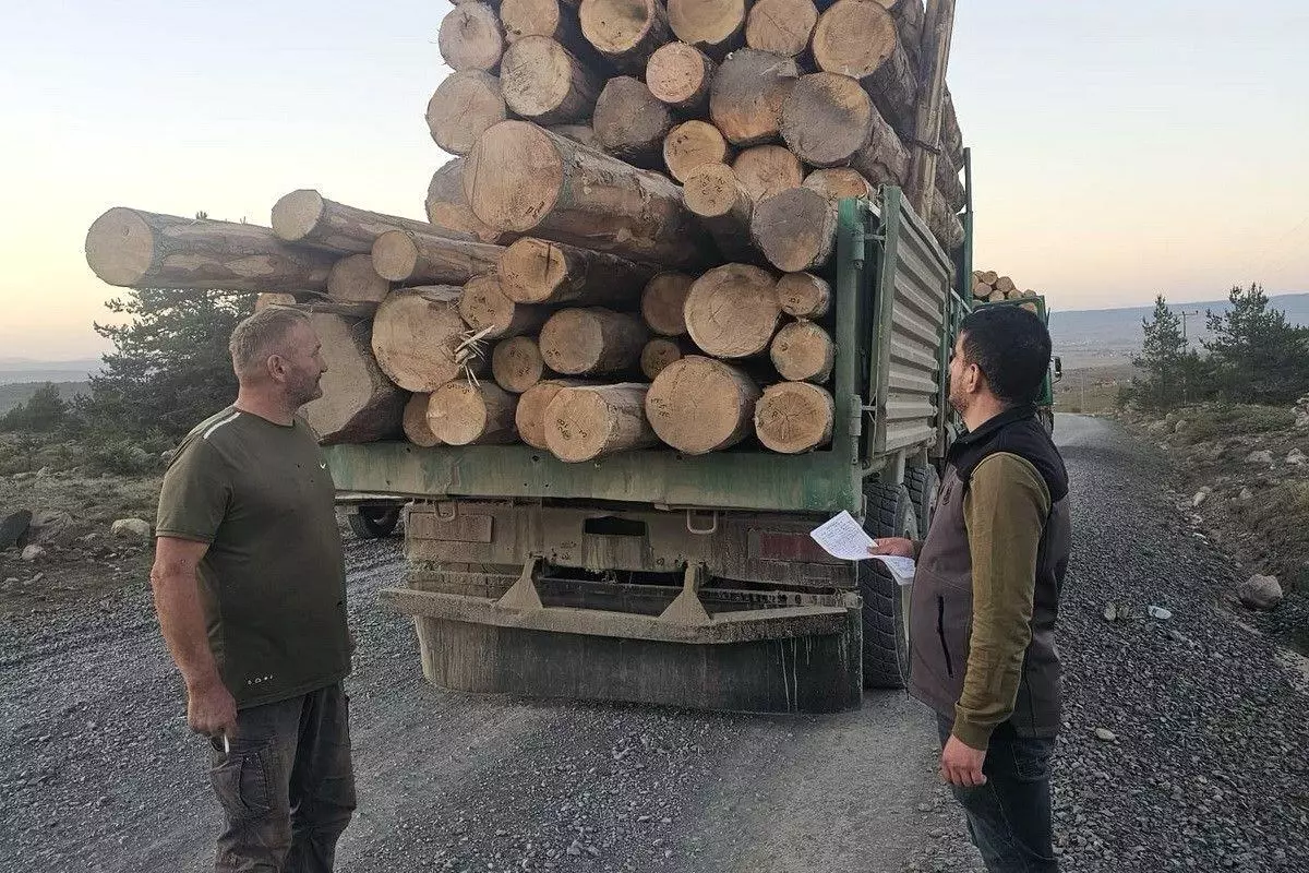 Bolu'da Kaçak Ağaç Kesimi Davasında Hapis Cezası