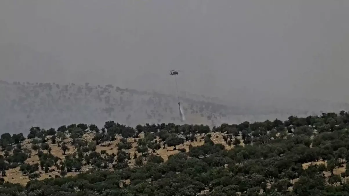 Mardin'de Orman Yangını Kontrol Altına Alındı