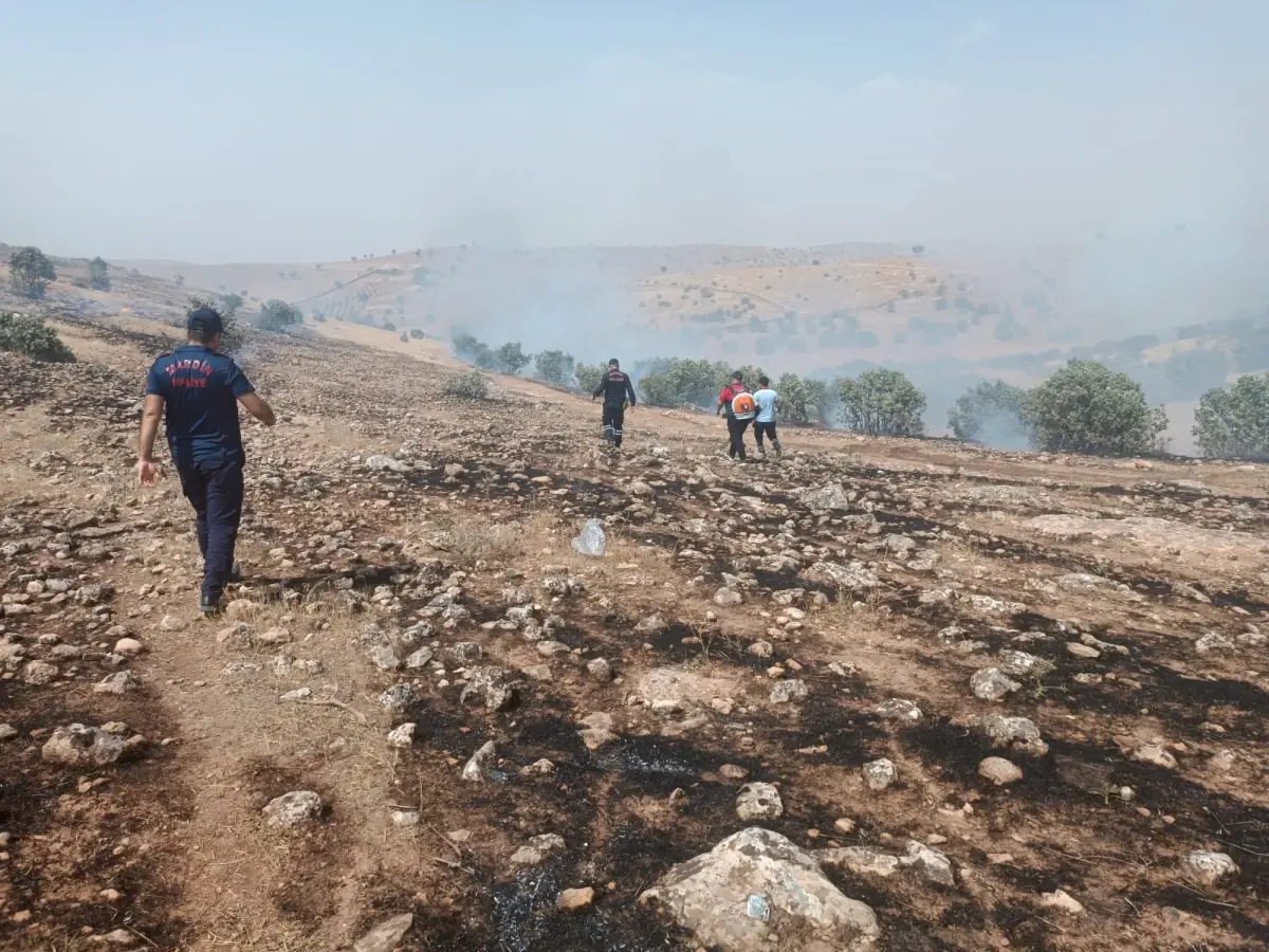 Savur'da Kırsal Alanda Örtü Yangını