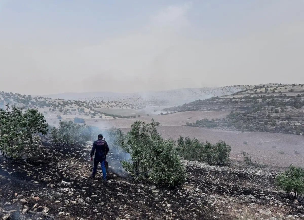 Mardin'de Kırsal Alanda Yangınlar Kontrol Altına Alındı