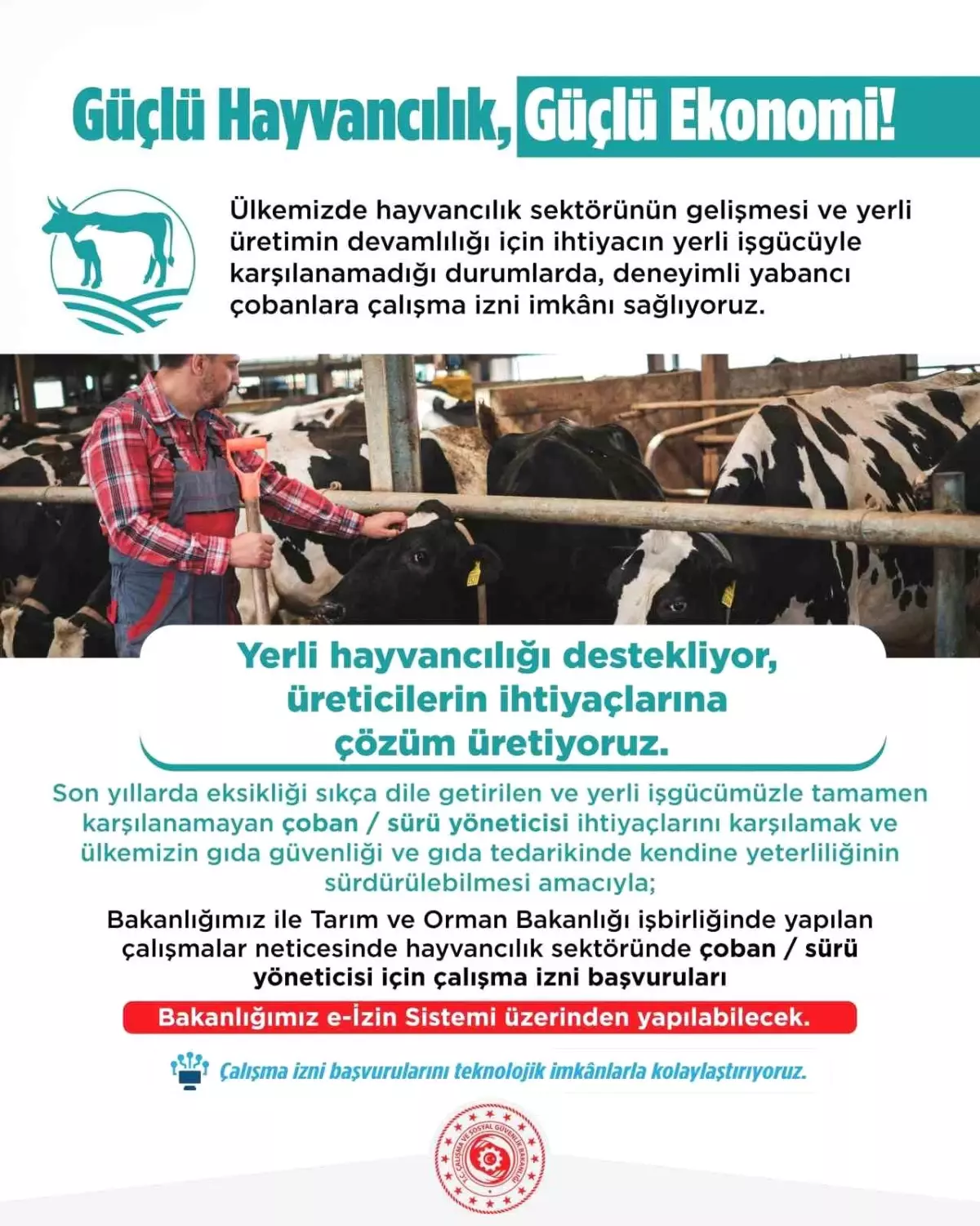 Yabancı Çoban ve Hayvan Bakıcıları İçin Çalışma İzni Başvuruları Başladı
