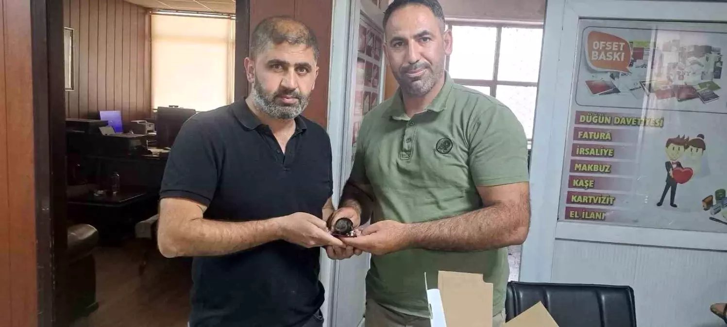 Yaralı Ebabil Kuşu, Duyarlı Genç Tarafından Kurtarıldı