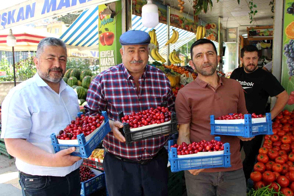 Amasya'da Kiraz Yarışması Bu Yıl Yapılamayacak
