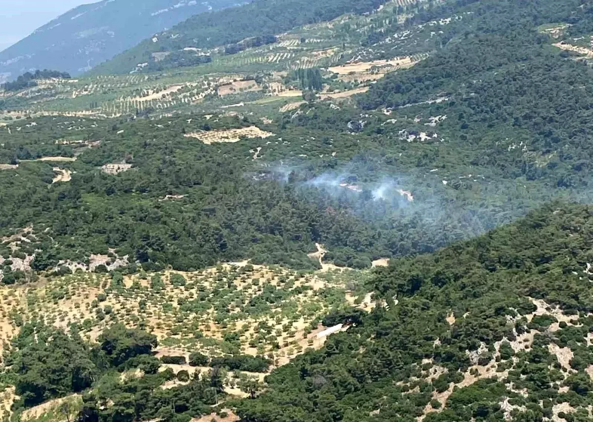 Aydın'da Orman Yangını Kontrol Altına Alındı