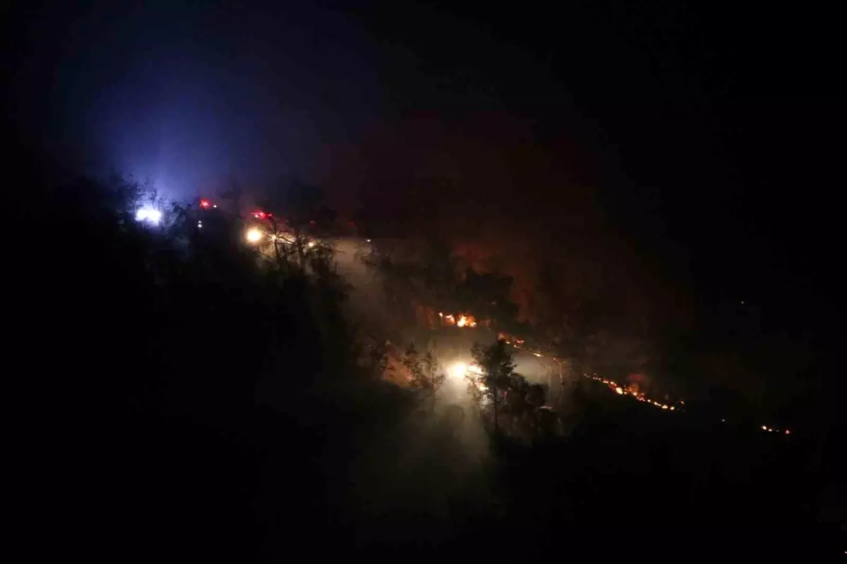 Çanakkale Ayvacık'ta Tarım Arazilerinde Yangın: Kısmen Kontrol Altına Alındı