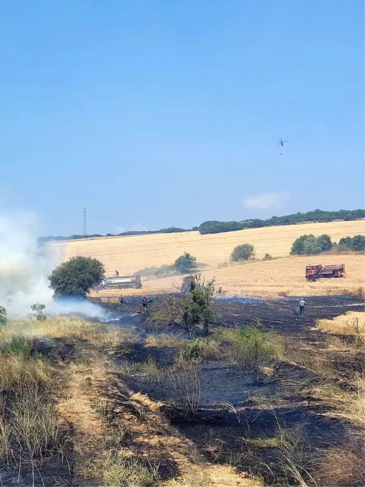 Çanakkale Biga'da Tarım Arazisinde Yangın