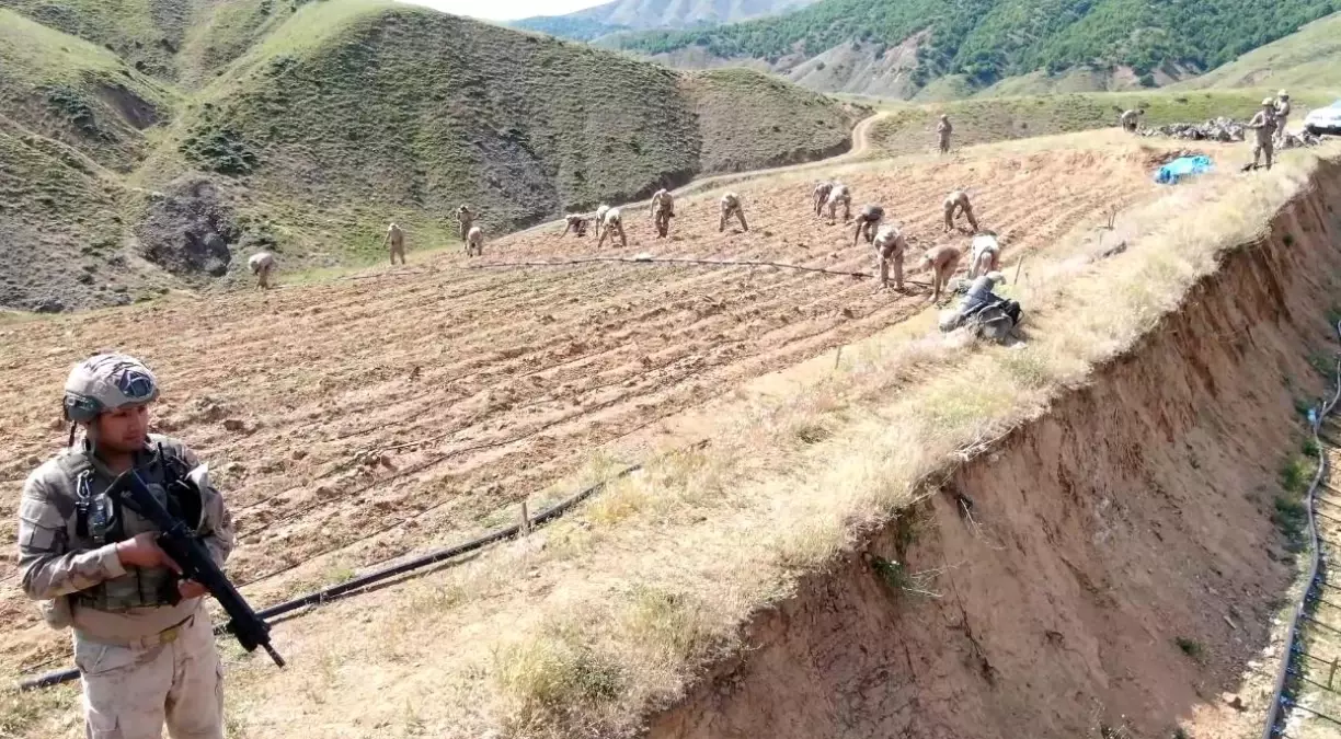 Diyarbakır'da Uyuşturucu Operasyonu: 319 Ton Uyuşturucu Ele Geçirildi
