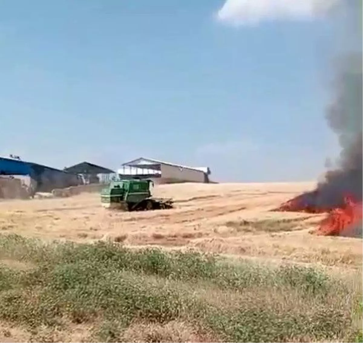 Adıyaman'da Buğday Tarlasındaki Yangın Korkuttu