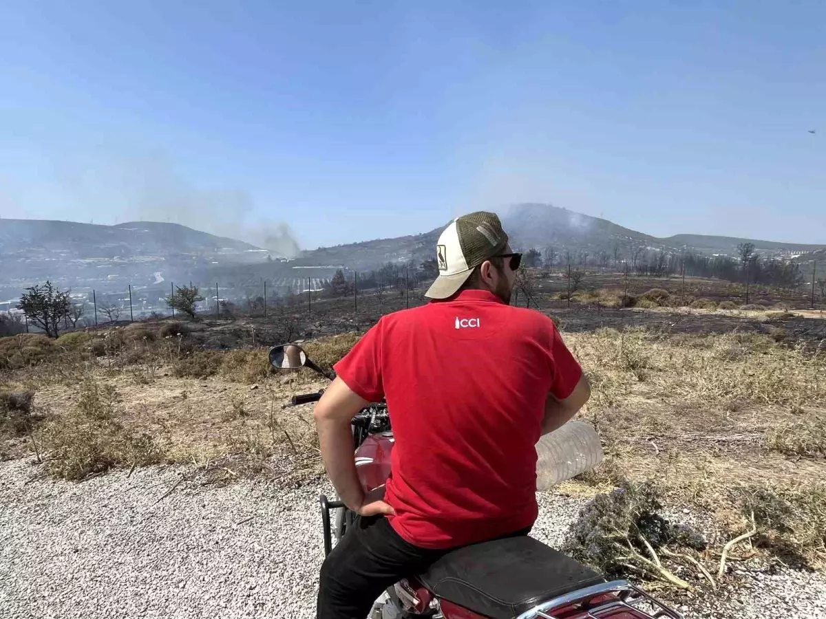Foça'da Orman Yangını Kontrol Altına Alma Çalışmaları Devam Ediyor