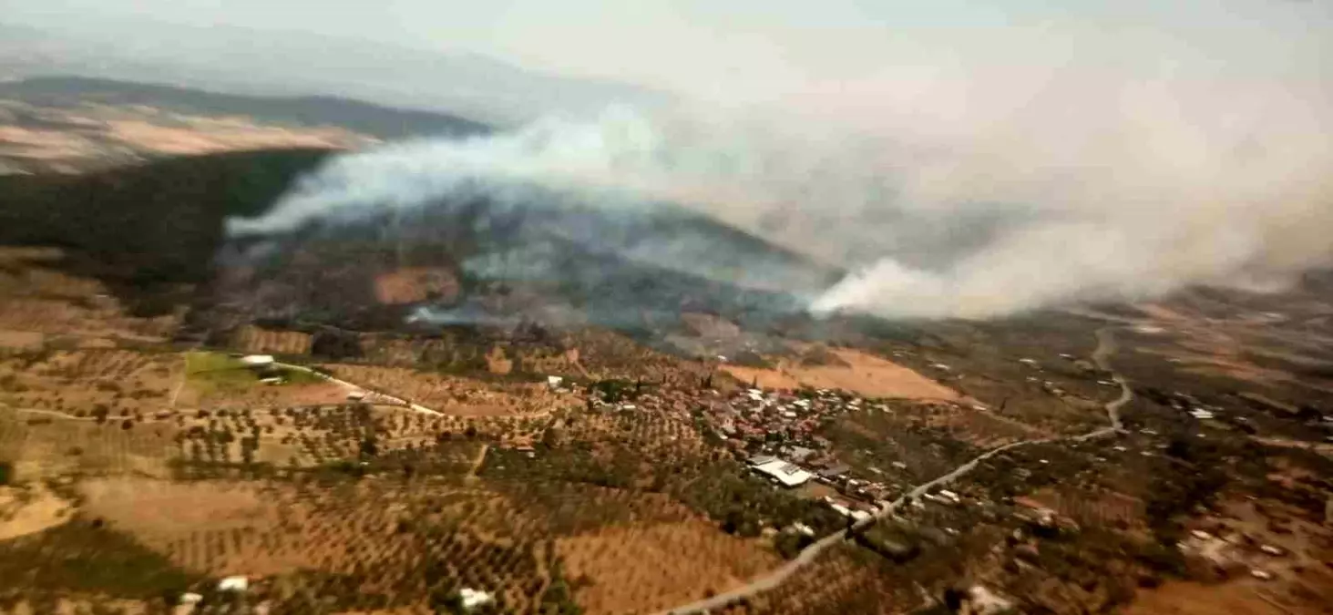 İzmir Foça'da Orman Yangını Kontrol Altına Alınmaya Çalışılıyor