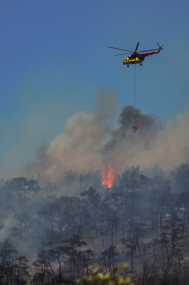İzmir'de orman yangını yerleşim yerine kadar ulaştı İzmir'de orman yangını yerleşim yerine kadar ulaştı