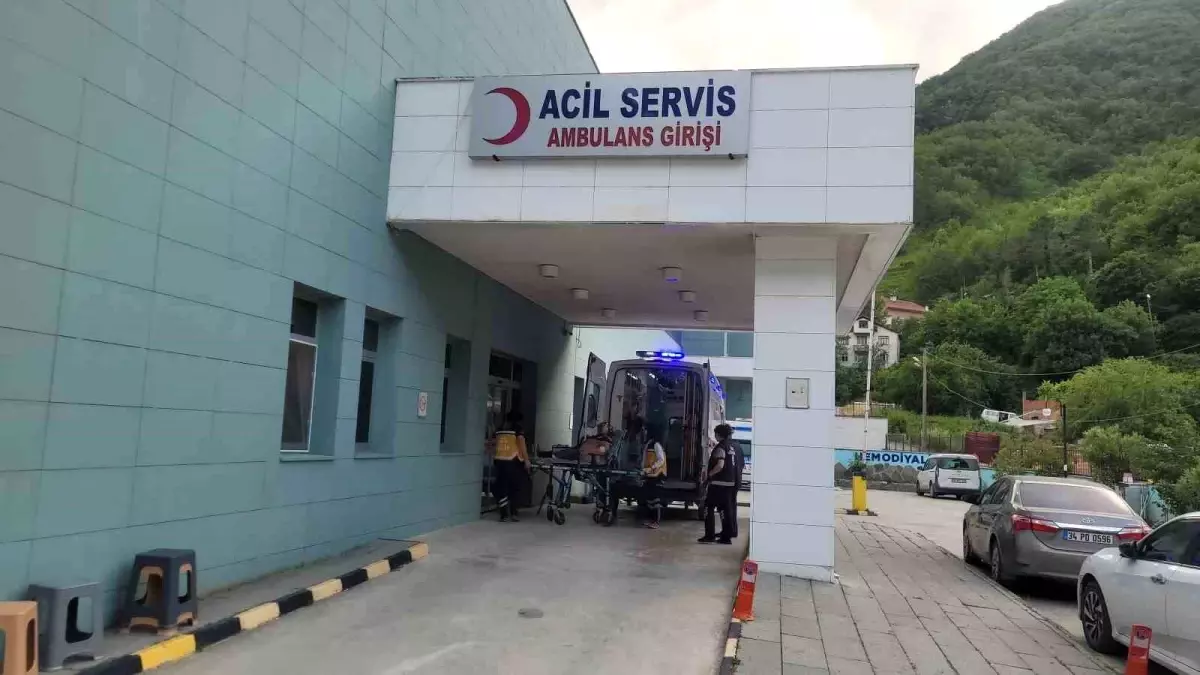 Kastamonu'da Akrebin Soktuğu Yaşlı Kadın Hastaneye Kaldırıldı