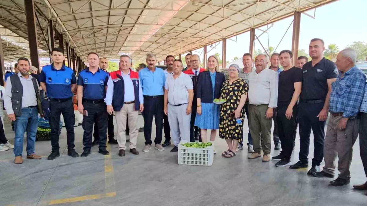 Nazilli'de İncir Üretiminin Temel Aşaması İlekleme Sezonu Başladı
