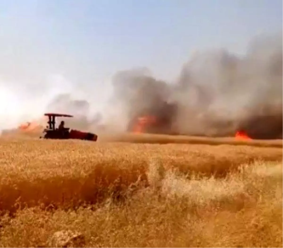 Harran'da 170 Dönümlük Buğday Tarlasındaki Yangın Kontrol Altına Alındı