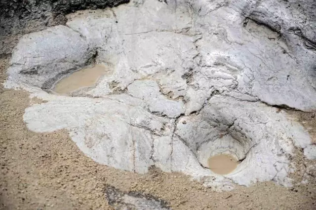 Cleans the 452-year-old historical trace every day