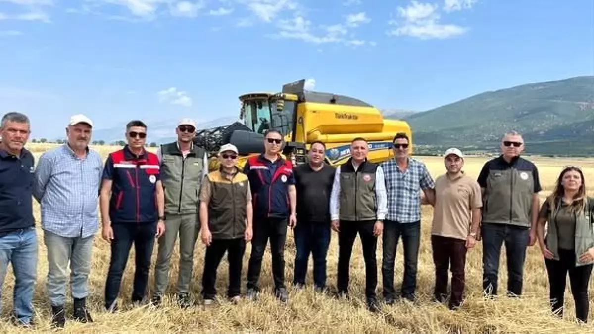 Afyonkarahisar'da 2025 Hububat Hasadı Başladı