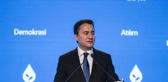 Ali Babacan'dan çağrı: Gerilimi düşürecek adımlar atılmalı