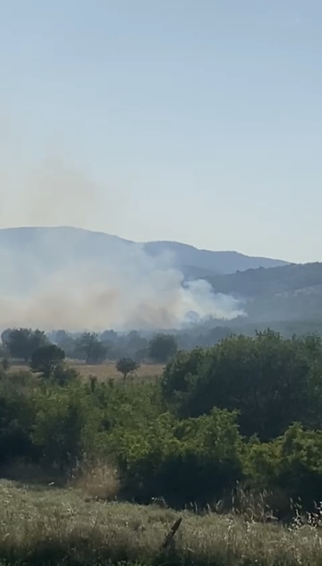 Fire in agricultural land in Balıkesir! Intervention to the flames continues