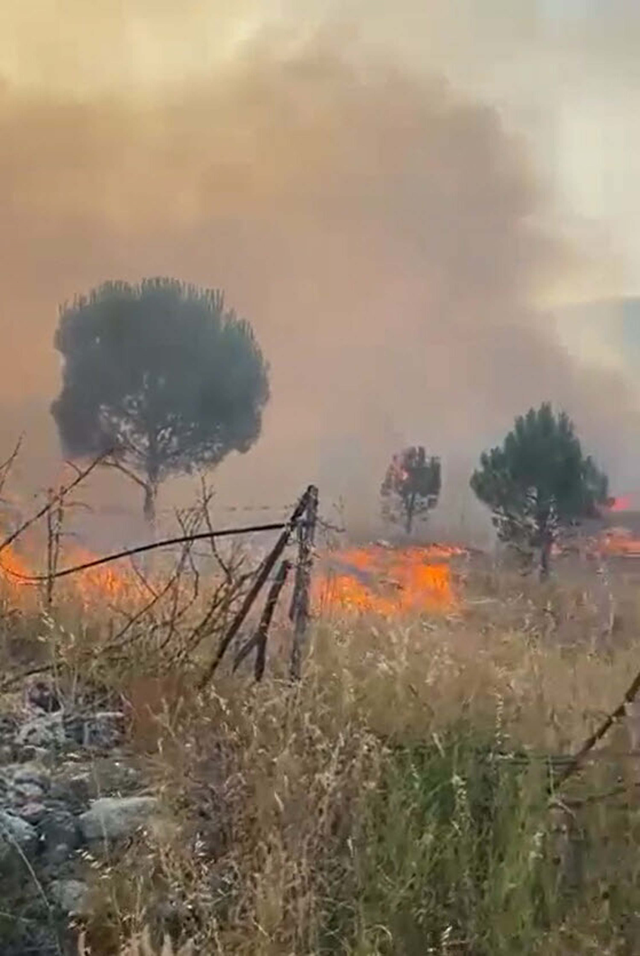 Fire in agricultural land in Balıkesir! Intervention to the flames continues