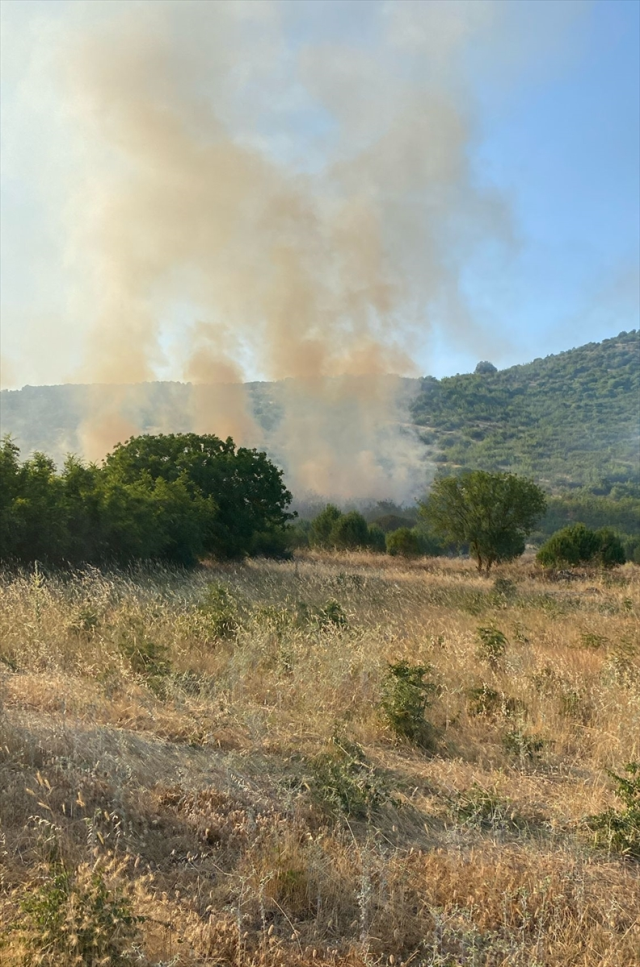 Fire in agricultural land in Balıkesir! Intervention to the flames continues