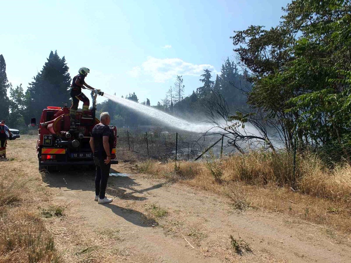 Burhaniye'de Ot Yangınları Artış Gösterdi