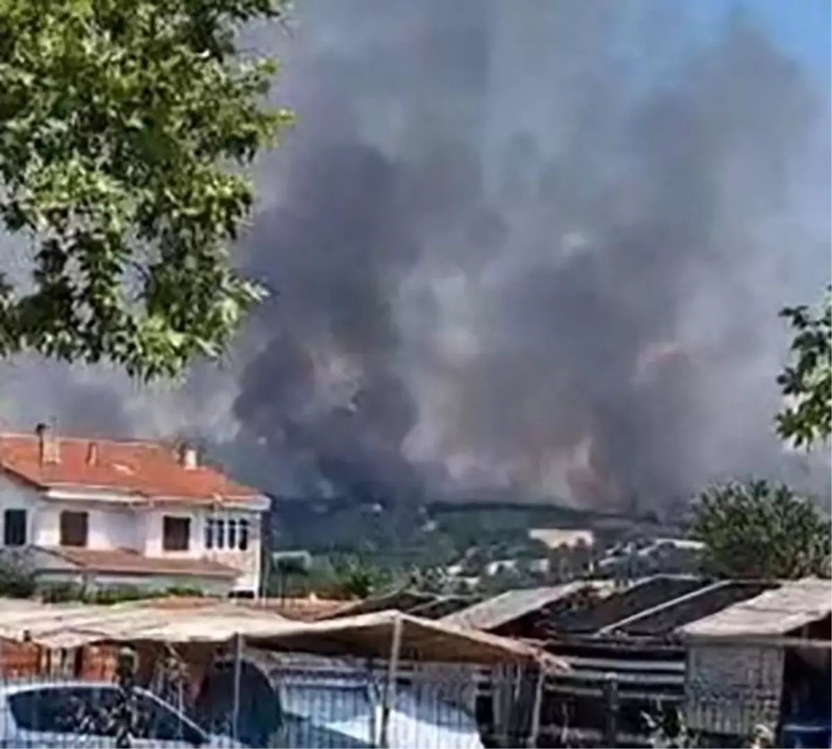 Edirne'de Orman Yangınına Hızla Müdahale Ediliyor