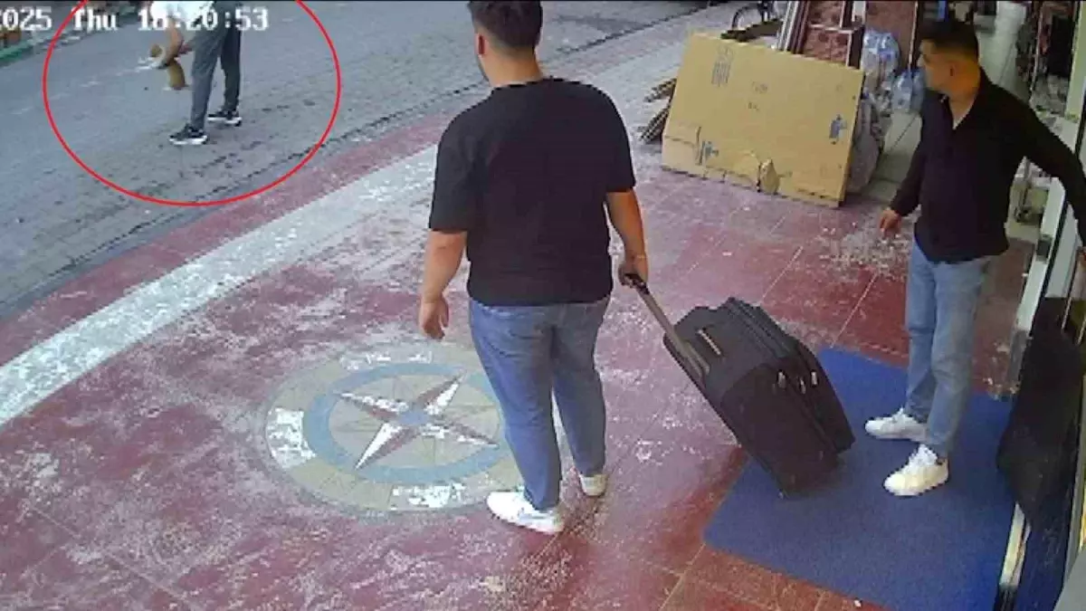 Samsun'da Vatandaş Kediyi Heimlich Manevrası ile Kurtardı