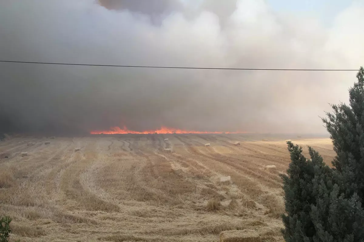Manisa'da Tarım Arazisinde Yangın Çıktı