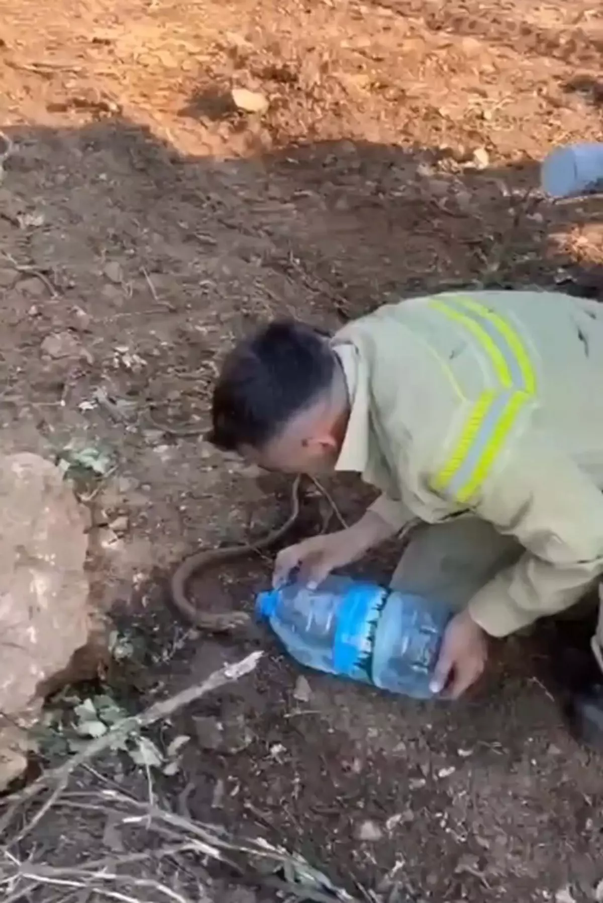 Ayvacık'taki Yangından Etkilenen Oluklu Kertenkeleye Merhamet