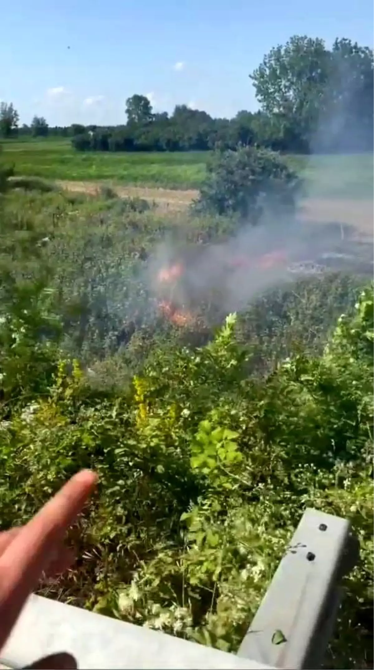 Sakarya'da Otluk Alanda Yangın: Kara Yolu Kapatıldı