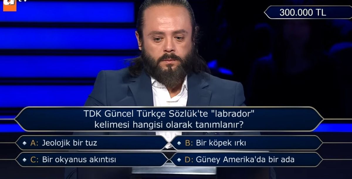 TDK Güncel Türkçe Sözlük'te 'labrador' kelimesi hangisi olarak tanımlanır?