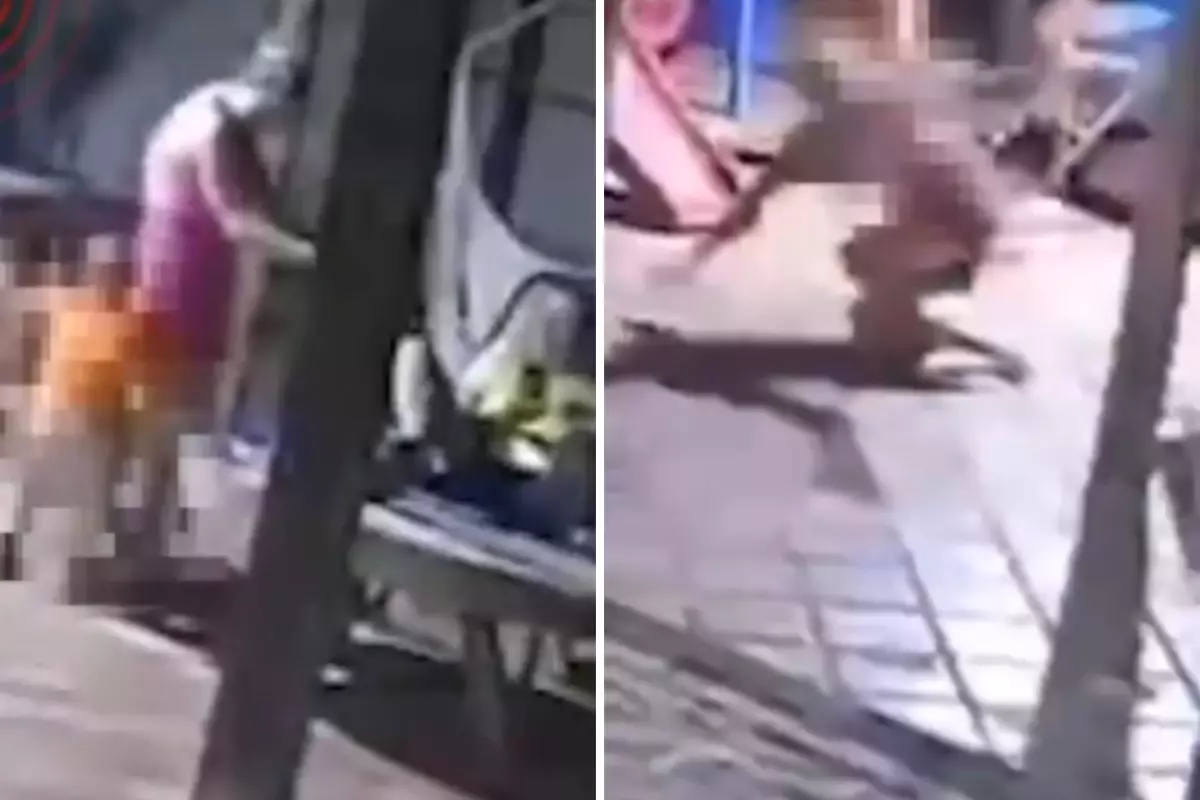 2 yaşındaki çocuk, babasına ait silahla yanlışlıkla annesini öldürdü