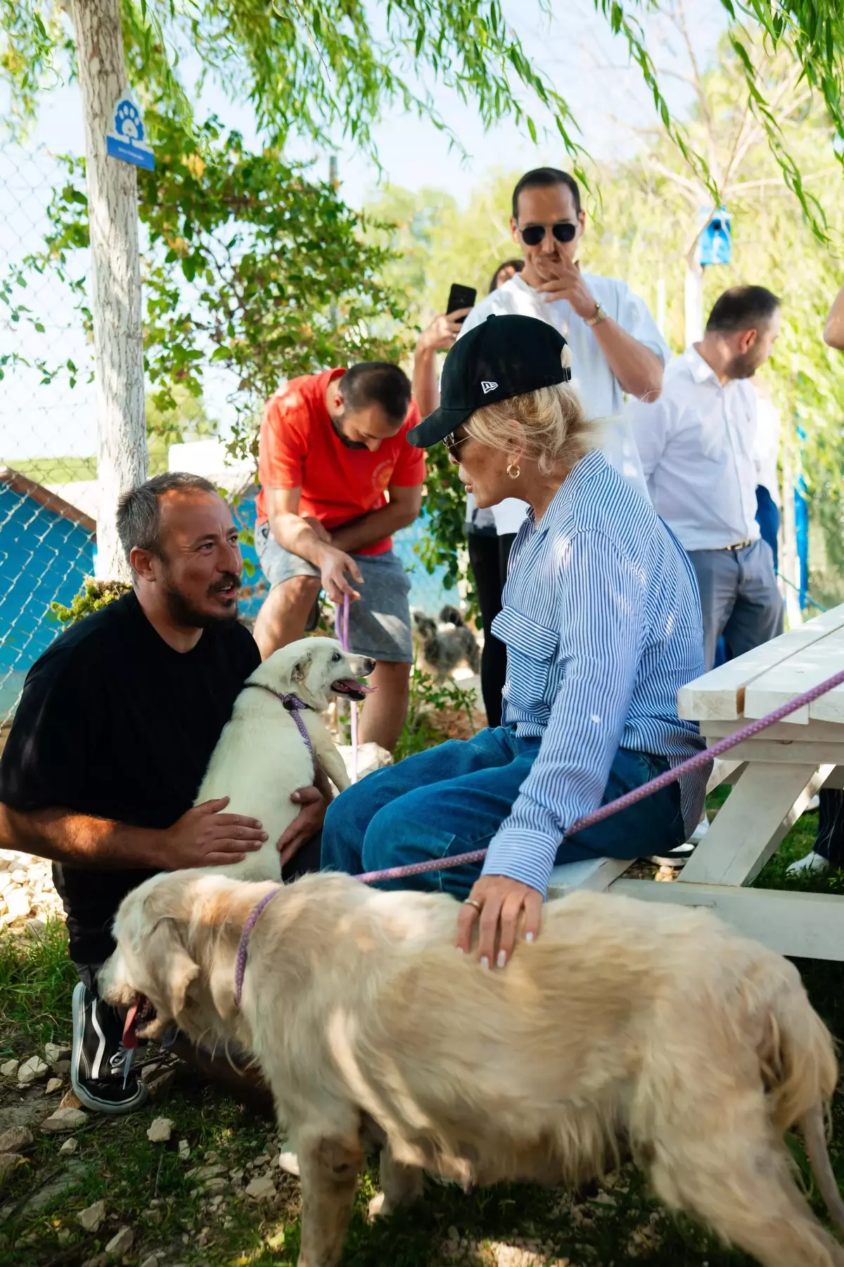 Ajda Pekkan'dan Kalpleri Isıtan Ziyaret: Emekli Hayvan Çiftliği'nde Sevgi Dolu Anlar ve Bir Köpeğe Umut!