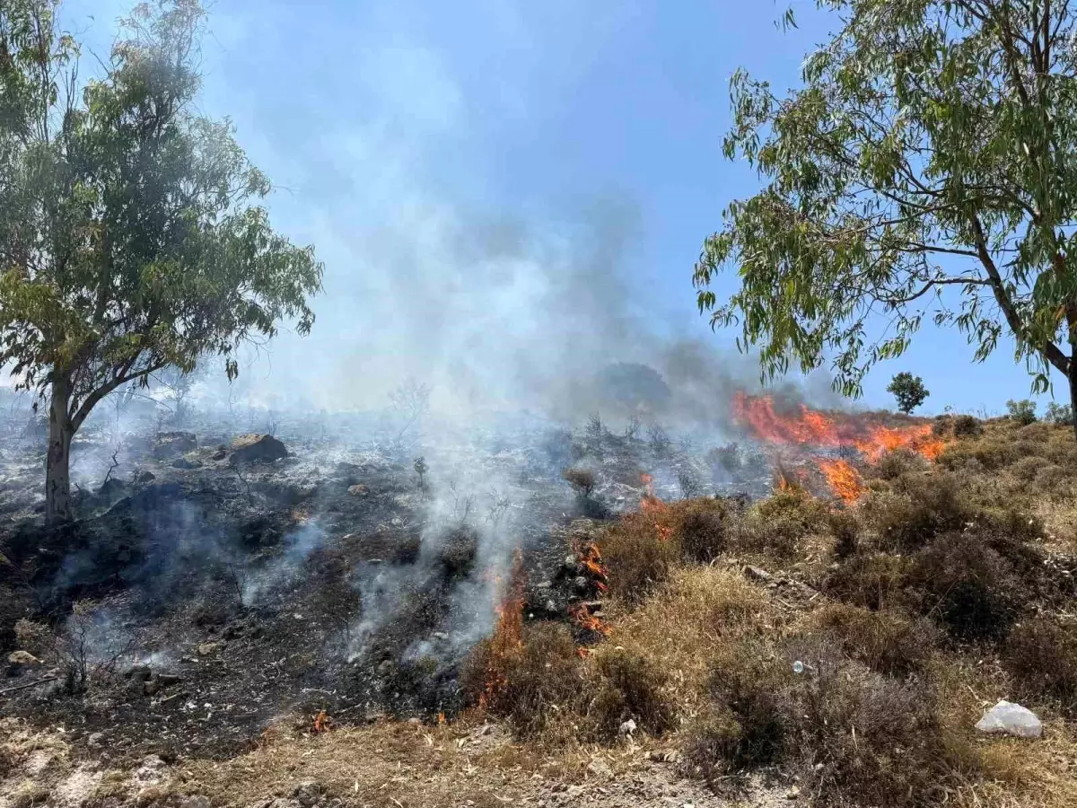 Bodrum'da Makilik Alanda Yangın Çıktı