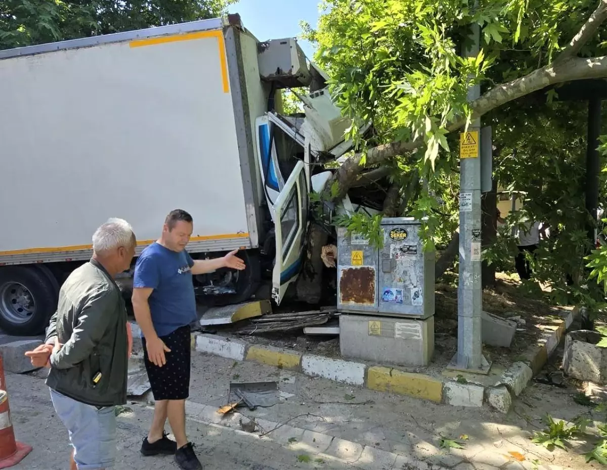 Erdek'te Freni Patlayan Kamyon Ağaca Çarparak Durdu