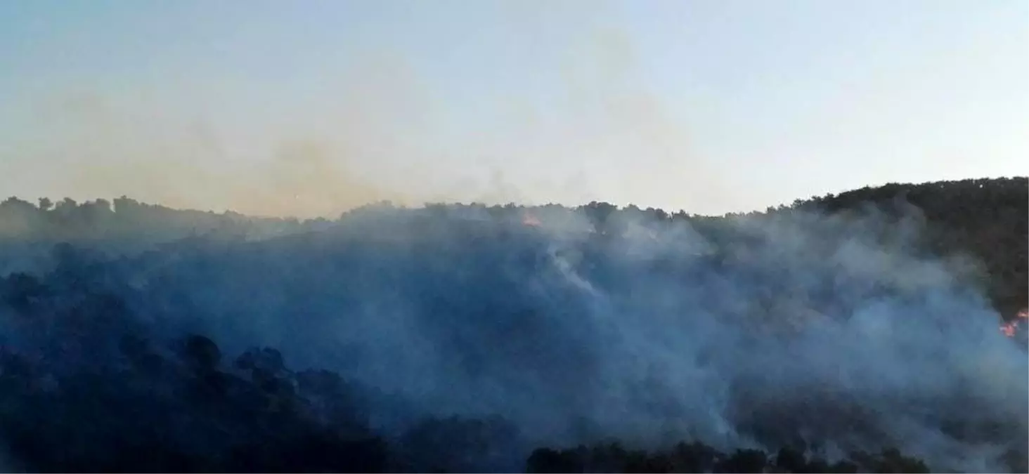 Hatay'da Orman Yangını Kontrol Altına Alındı