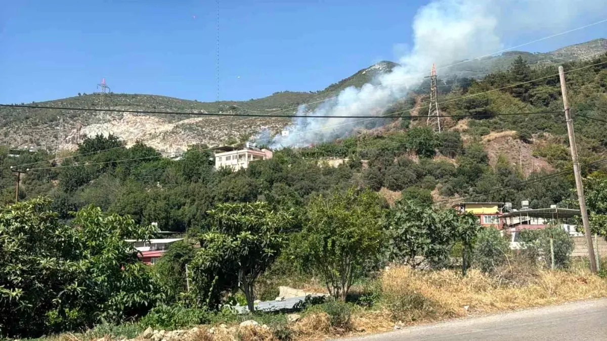 Hatay'da Orman YangınıKontrol Altına Alındı