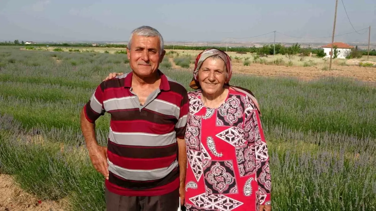 Malatya'da Lavanta Üretimi İle Tarıma Örnek Oluyorlar