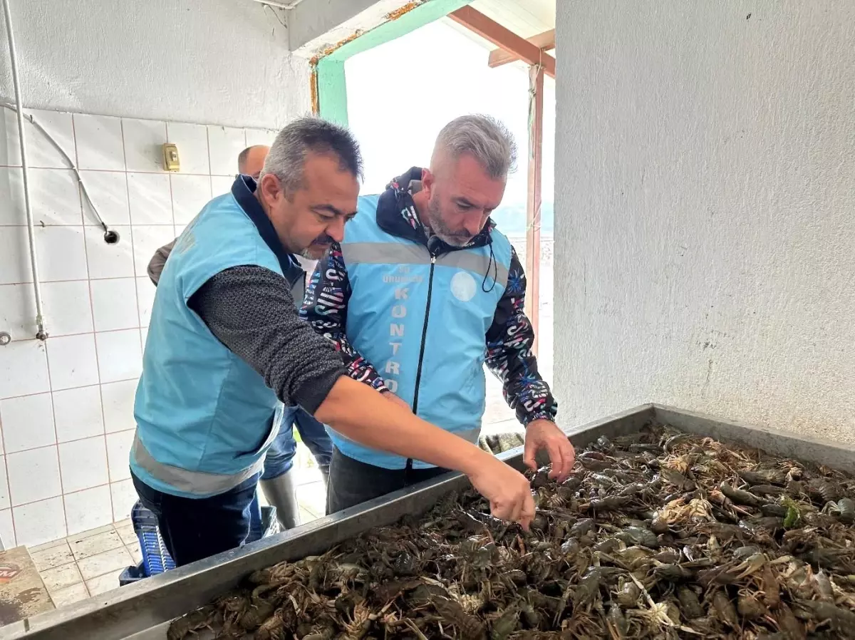 Isparta'da Sazangiller ve Kerevit Av Yasağı Sona Erdi
