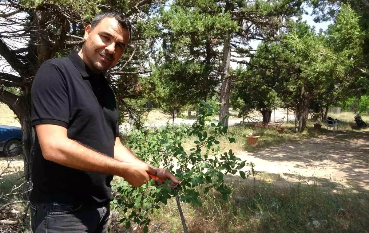 Sahte Hesapla Verilen Cenaze İlanı: 2 Çocuk Babası Şokta