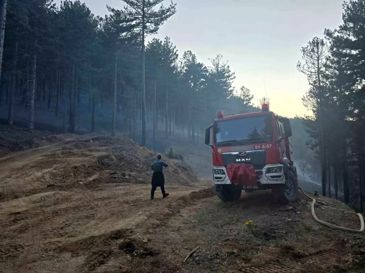 Adana'nın Feke İlçesinde Orman Yangını Kontrol Altına Alındı