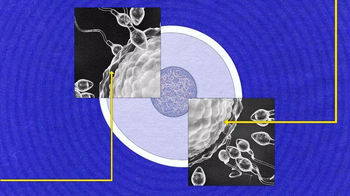Sperm neden hâlâ bu kadar gizemli?