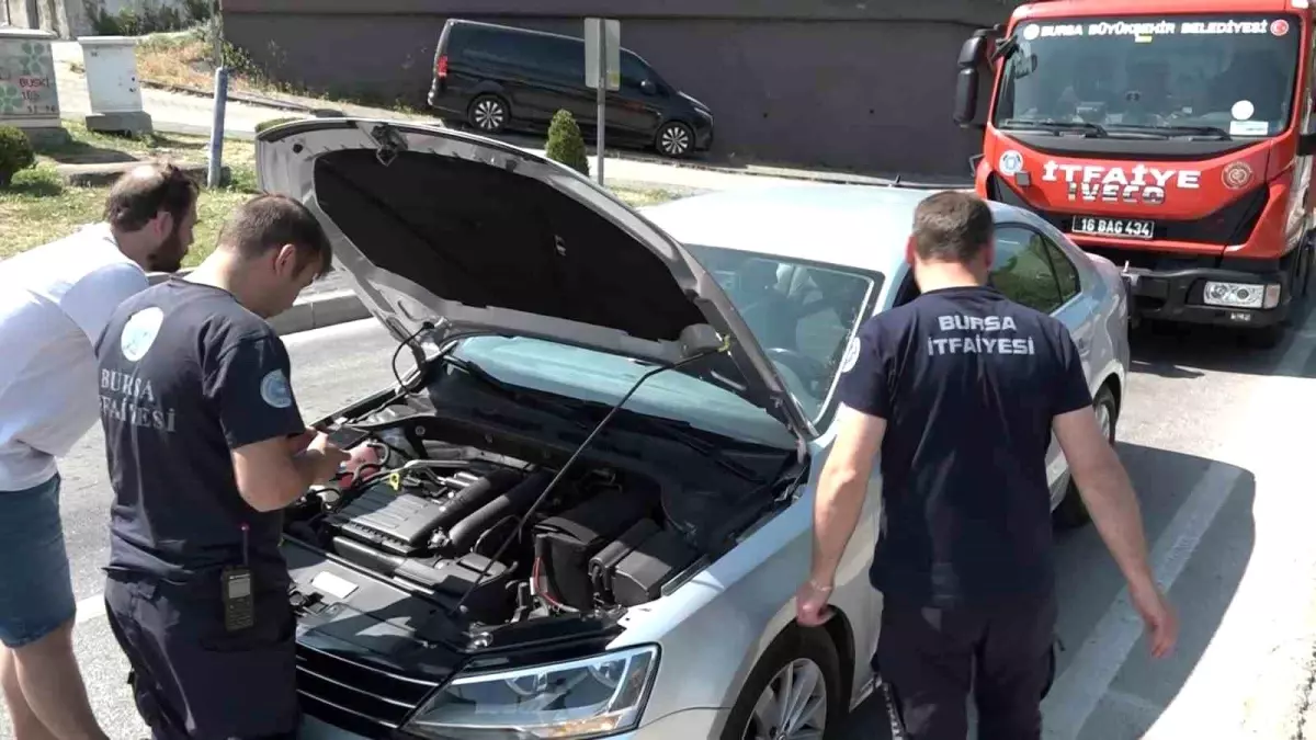 Bursa'da Trafiği Kilitleyen Yavru Kedi Olaya Sebep Oldu