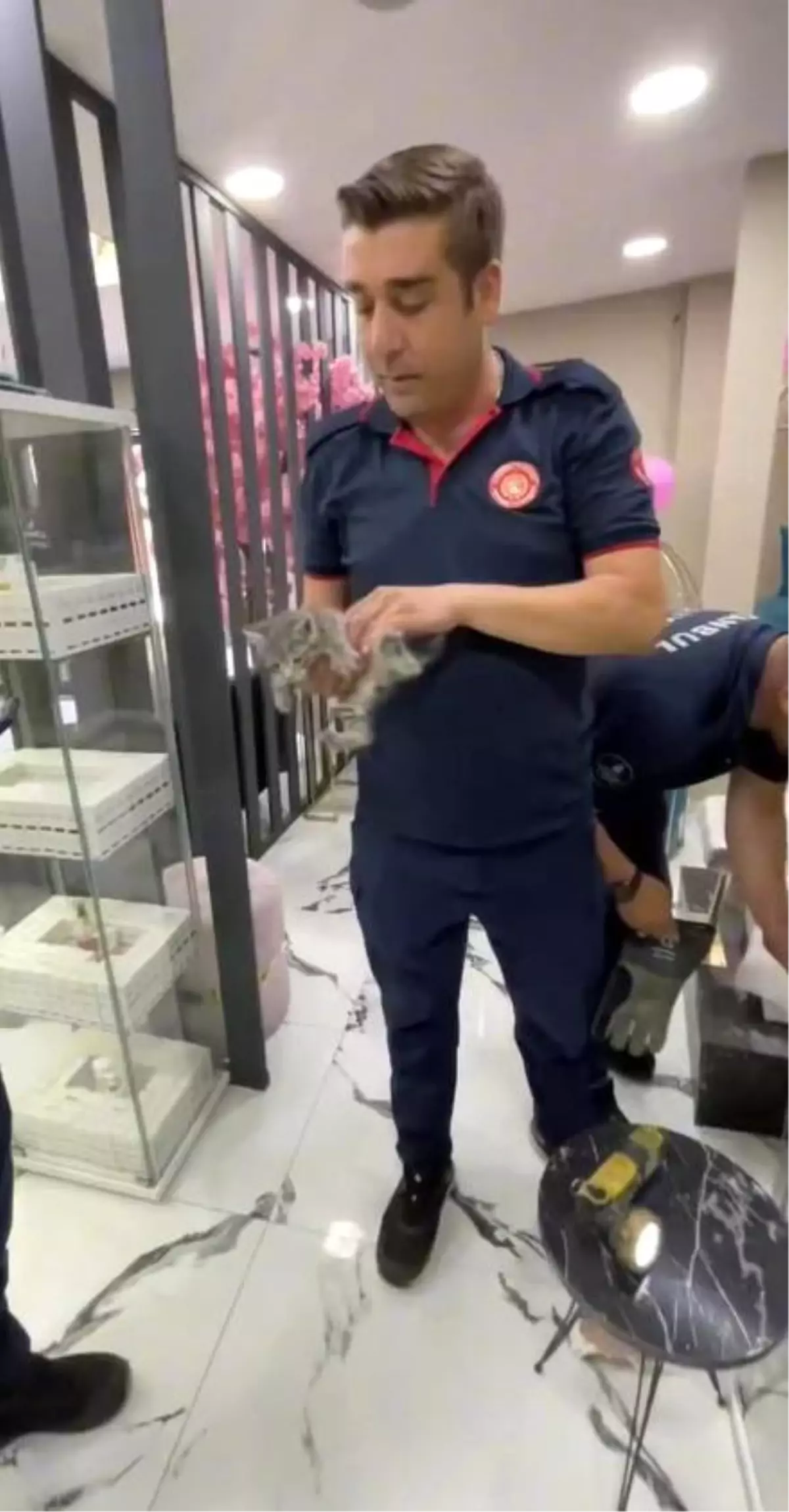 Küçükçekmece'de Yavru Kediler Alçıpan Duvar Arasından Kurtarıldı