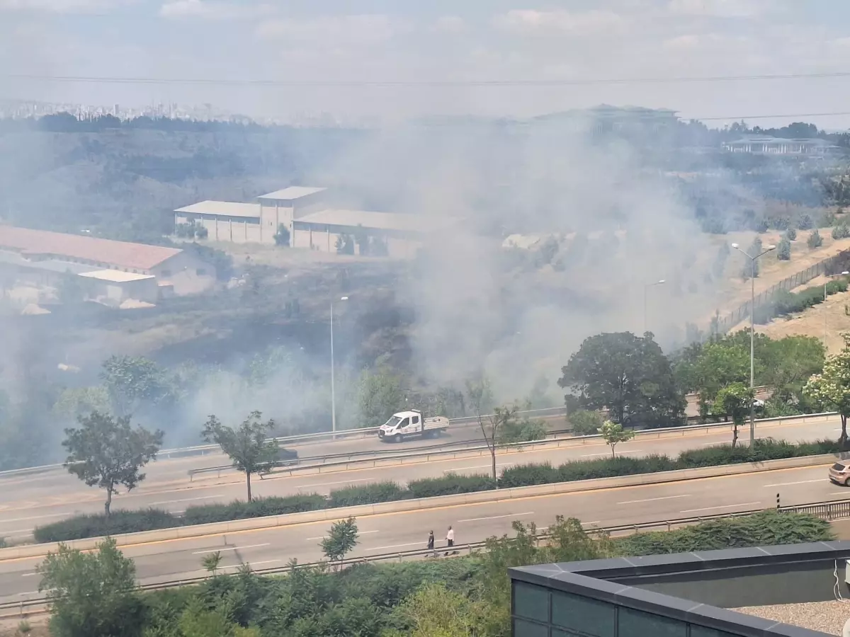 Ankara'da Atatürk Orman Çiftliği'nde örtü yangını