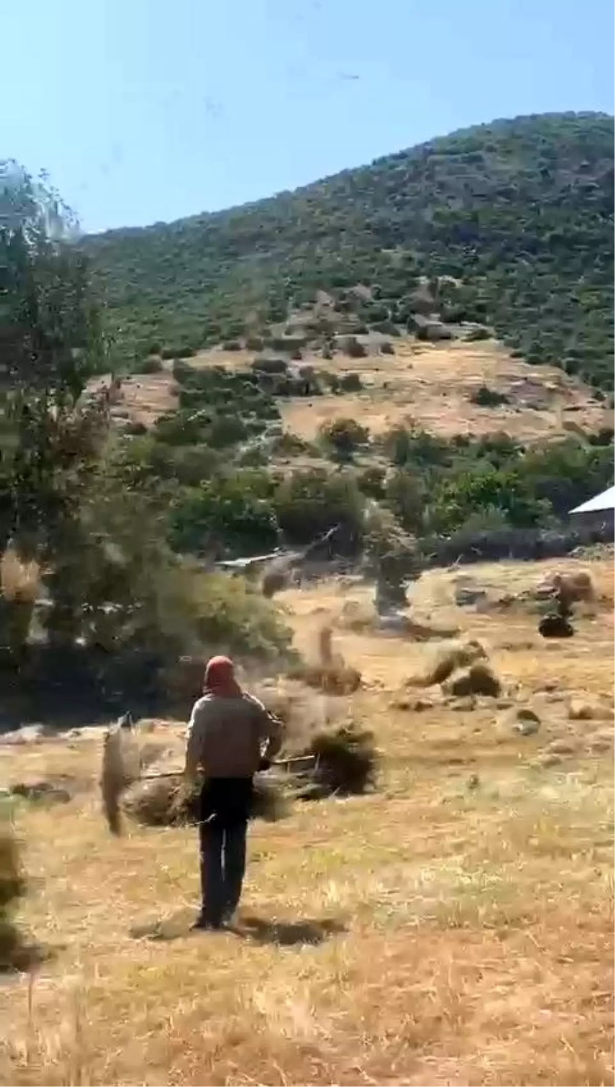 Bingöl'de Hortum Tarla Şenliği Yüzünden Çiftçileri Zor Duruma Soktu