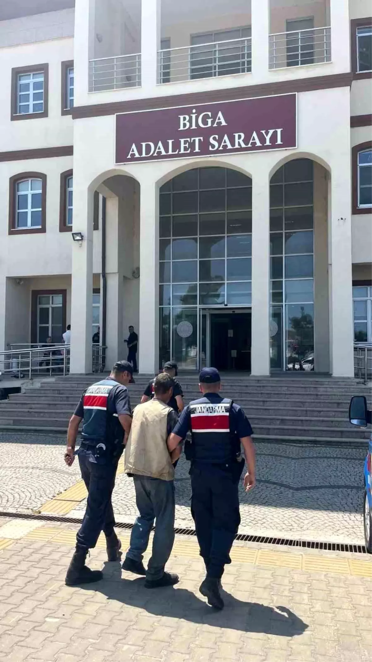 Çanakkale'de Yasa Dışı Kenevir Ekimi: 1 Tutuklama